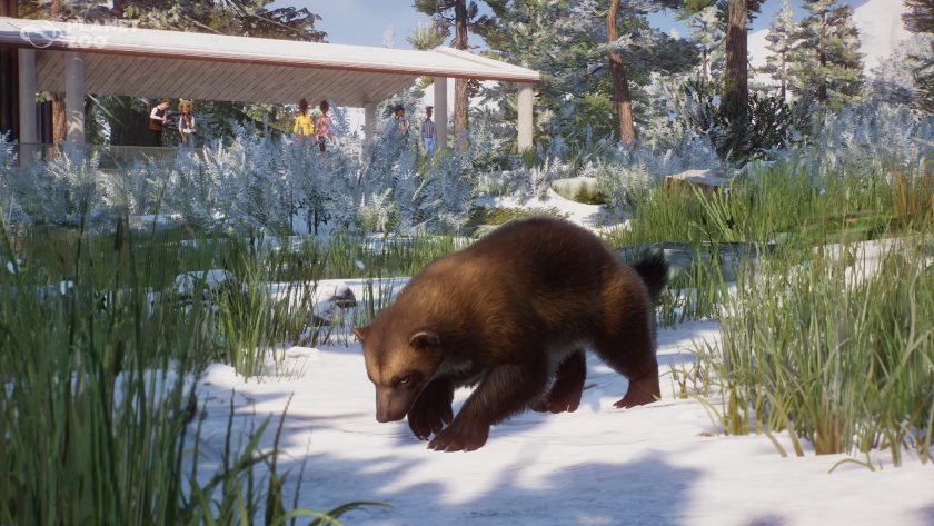 Planet Zoo - Eurasia Animal Pack - close up of wolverine in snow