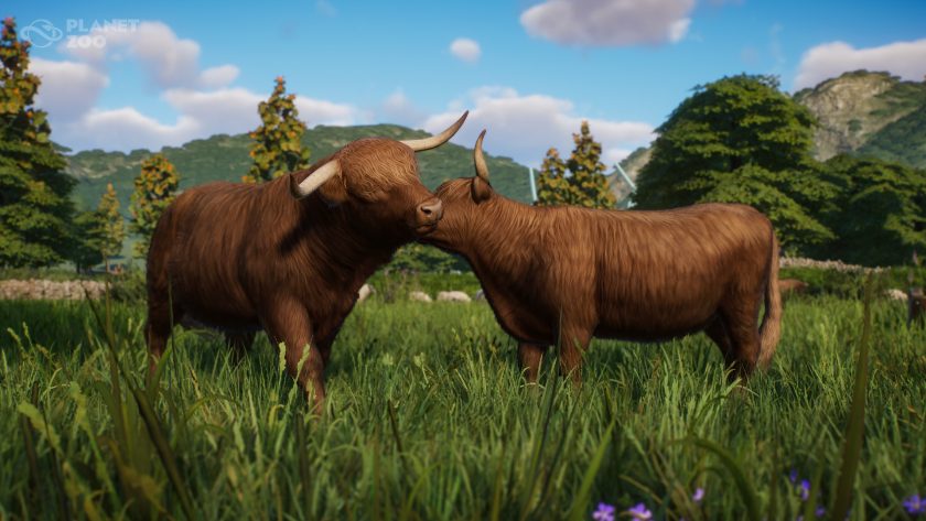 Planet Zoo Barnyard Animal Pack - highland cattle bond