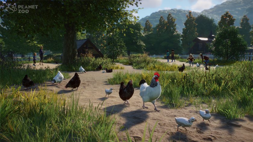 Planet Zoo Barnyard Animal Pack - Sussex chickens walking on path