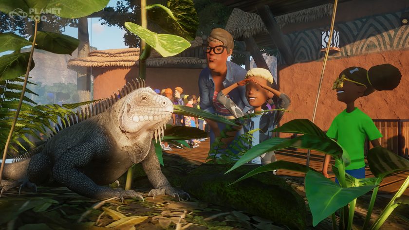Planet Zoo - Iguana in exhibit