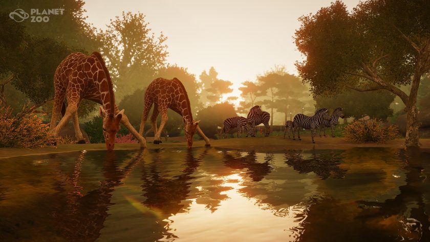 Planet Zoo - Social Welfare