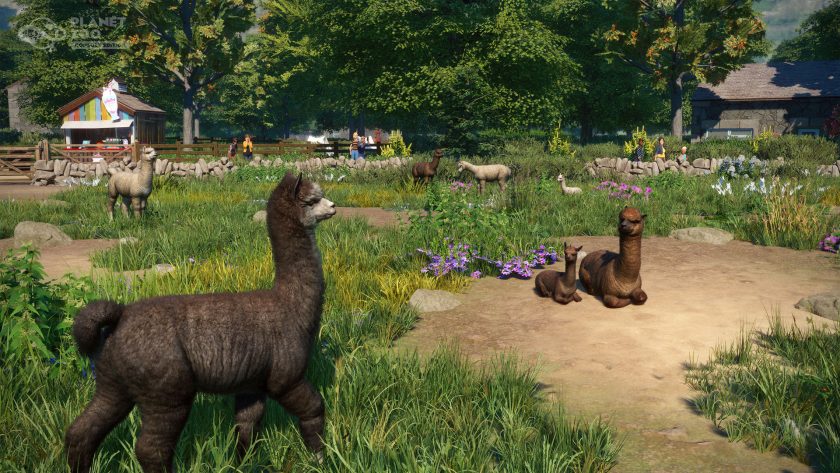 Planet Zoo: Console Edition - Barnyard Pack - Alpacas