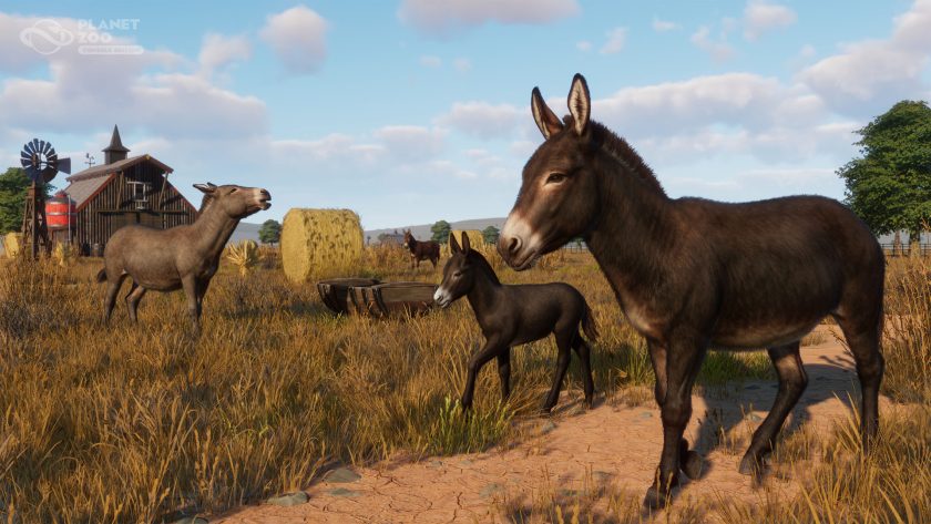 Planet Zoo: Console Edition - Barnyard Pack - American Standard Donkeys