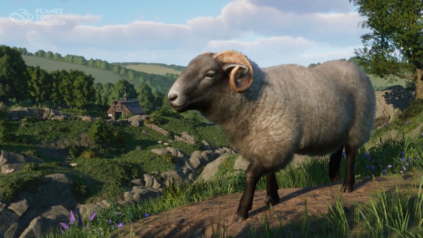 Planet Zoo: Console Edition - Barnyard Pack - Radnor Hill Sheep