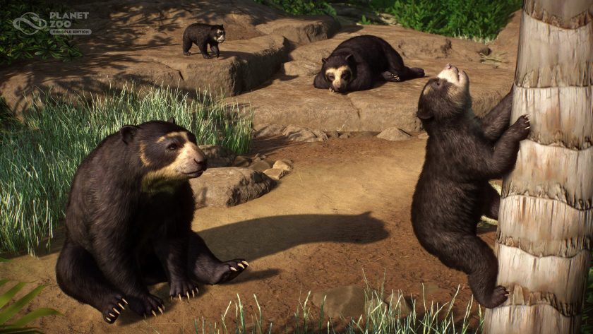 Planet Zoo: Console Edition - Zookeepers Pack - Bears