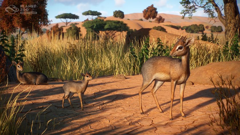 Planet Zoo: Console Edition - Zookeepers Pack - Dik-dik