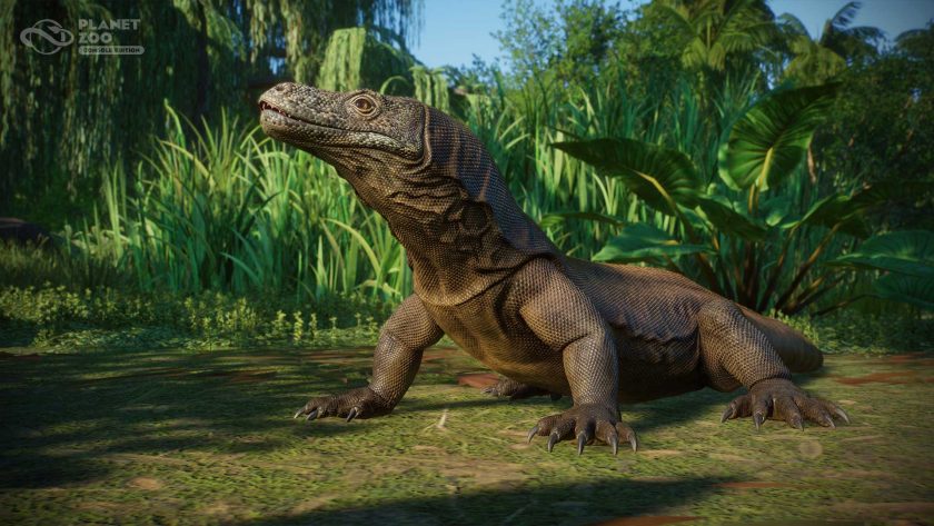 Planet Zoo Console - Komodo Dragon