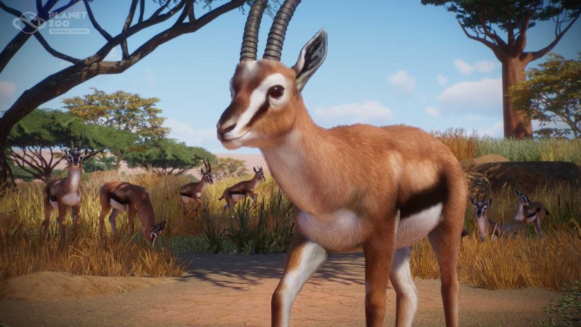 Planet Zoo Console - Thompsons Gazelle